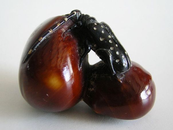 Beetle on chestnuts – (4590) Private collection